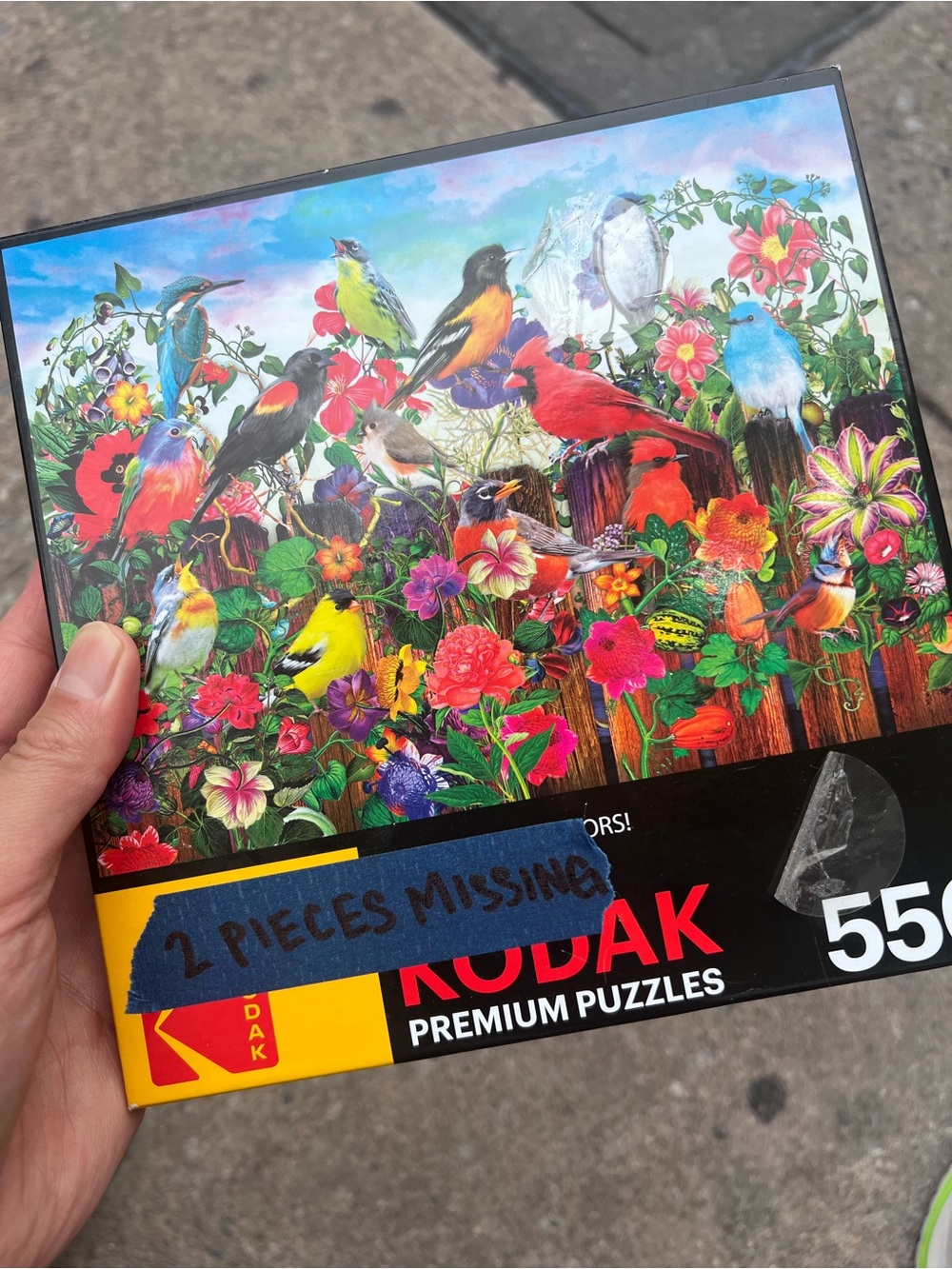 Kodak Premium 550 Piece Jigsaw Puzzle - Birds and Blooms (3 Pieces Missing) 😭